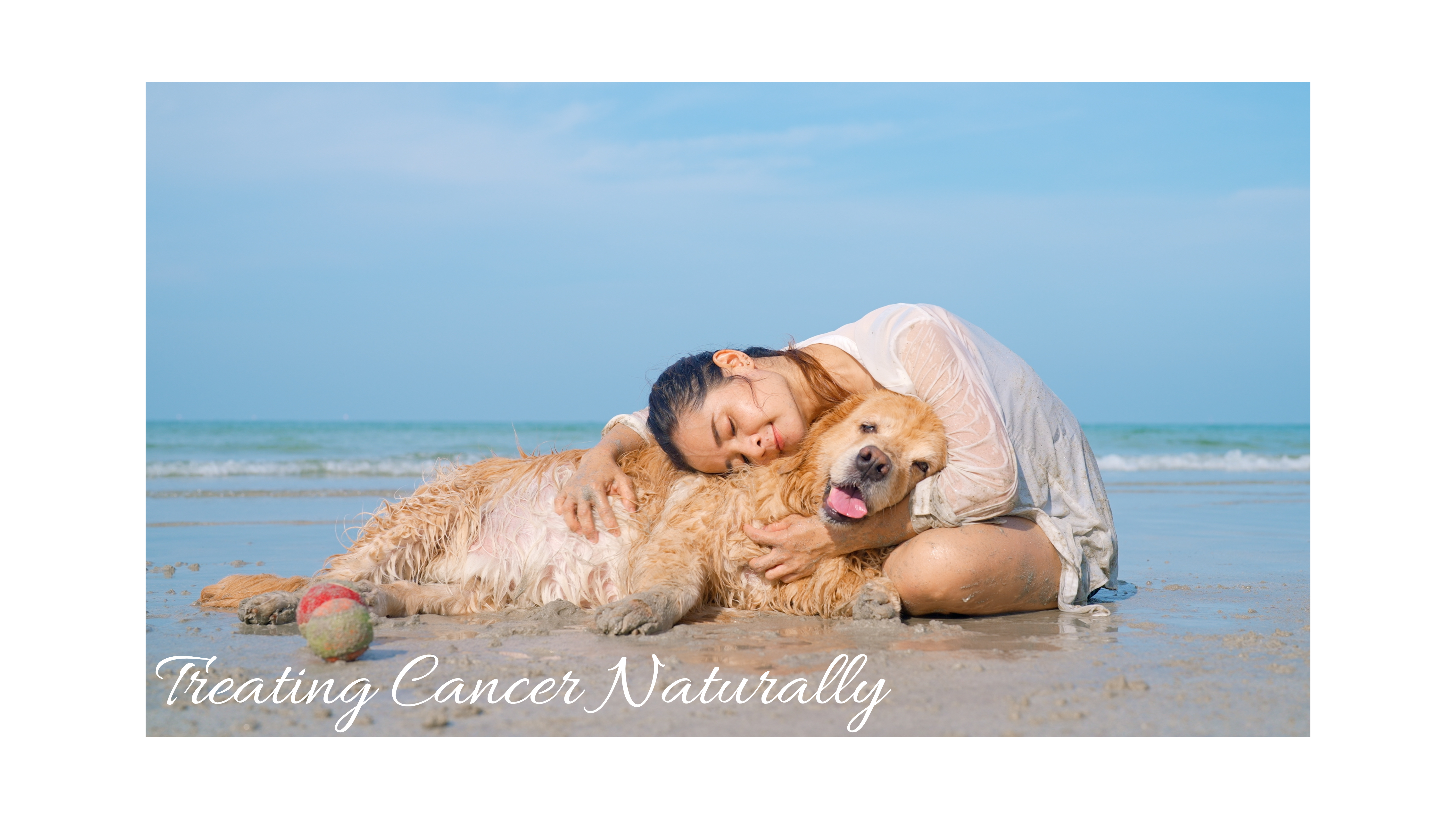 AIS Header Image No_Logo